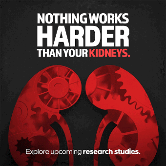 Nothing works harder than your kidney's - explore upcoming research studies!